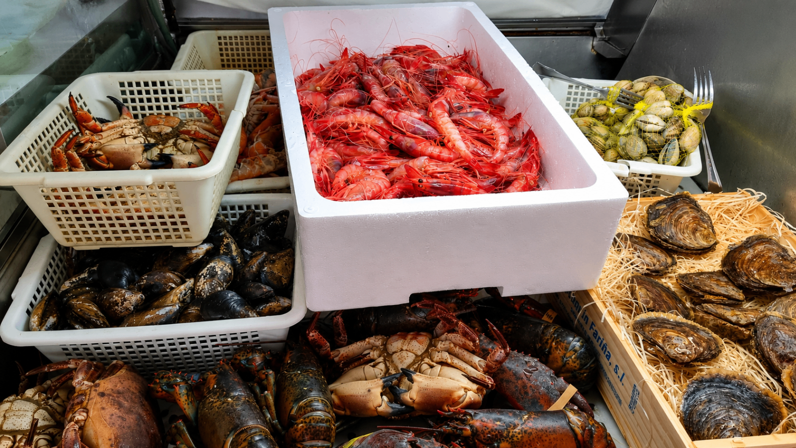 Mostrador con gambas, mejillones, cloïsses y ostras